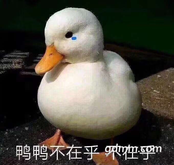 20190319_1982669_1552971252385.jpg