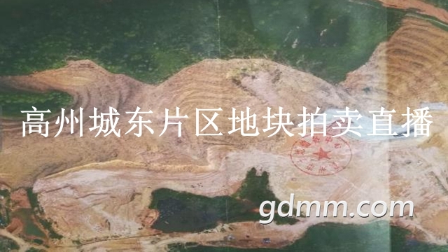 20190320_145544_000.jpg