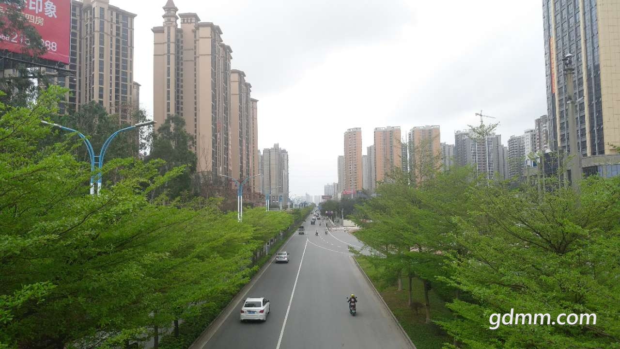 20190320_3272280_1553088740312.jpg
