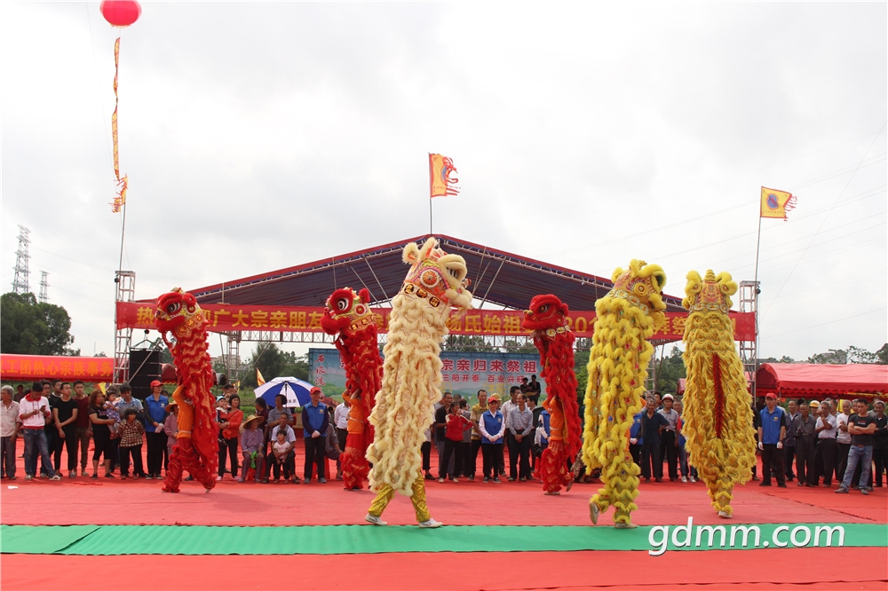 杨氏祭祖大典图片