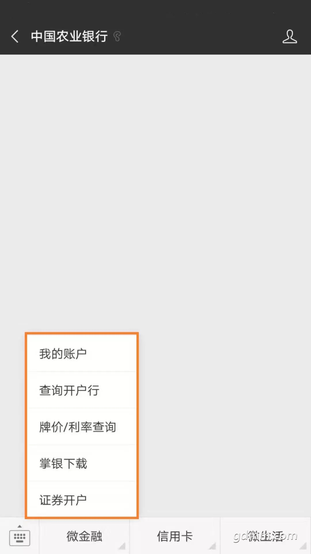 11111.webp.jpg