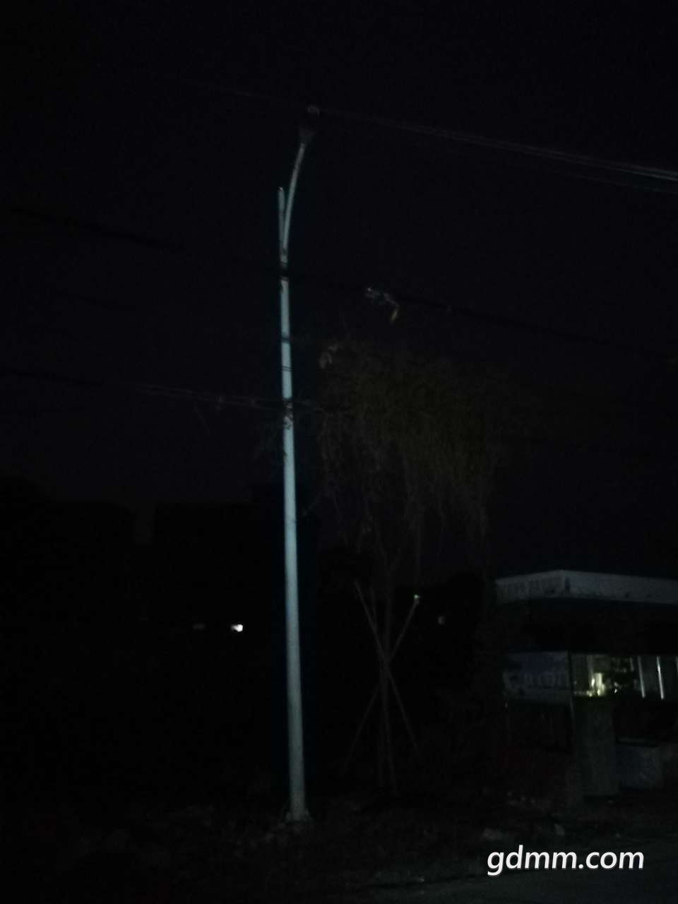 20190322_3271068_1553267671621.jpg