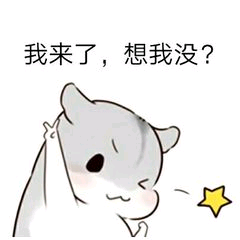 20190322_3271068_1553267708391.png