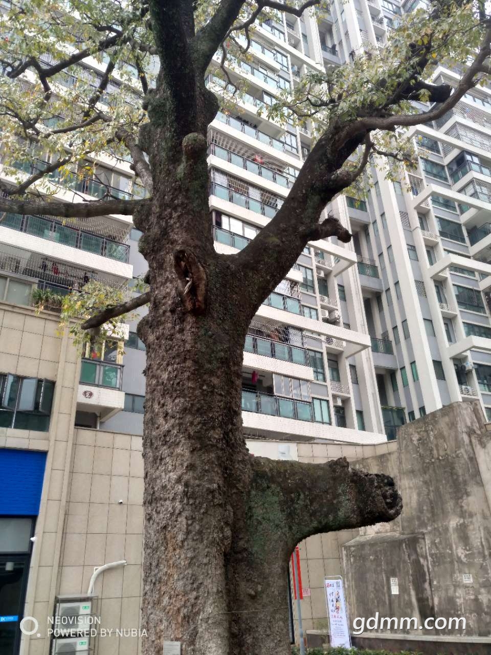 20190324_3256765_1553400143084.jpg