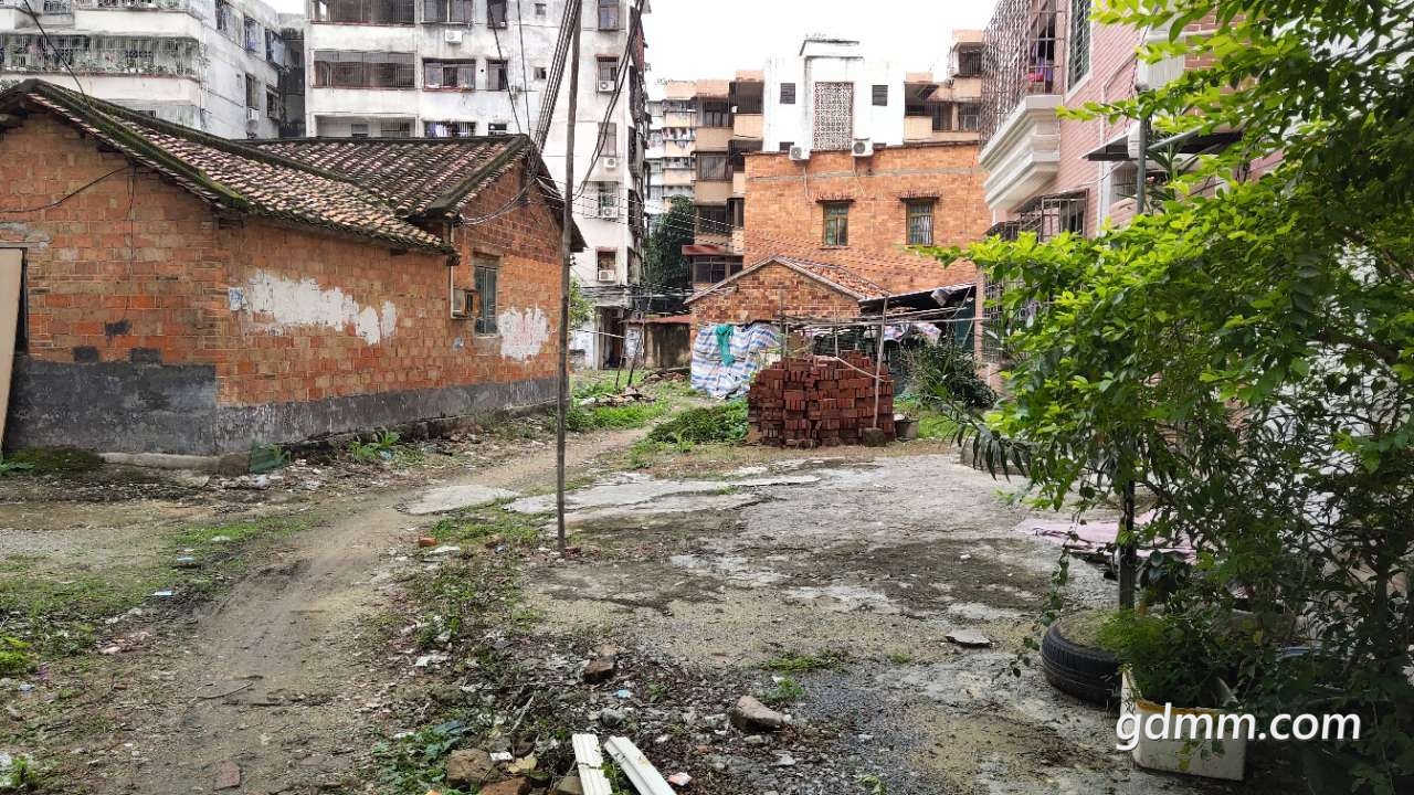 20190324_3281646_1553418656779.jpg