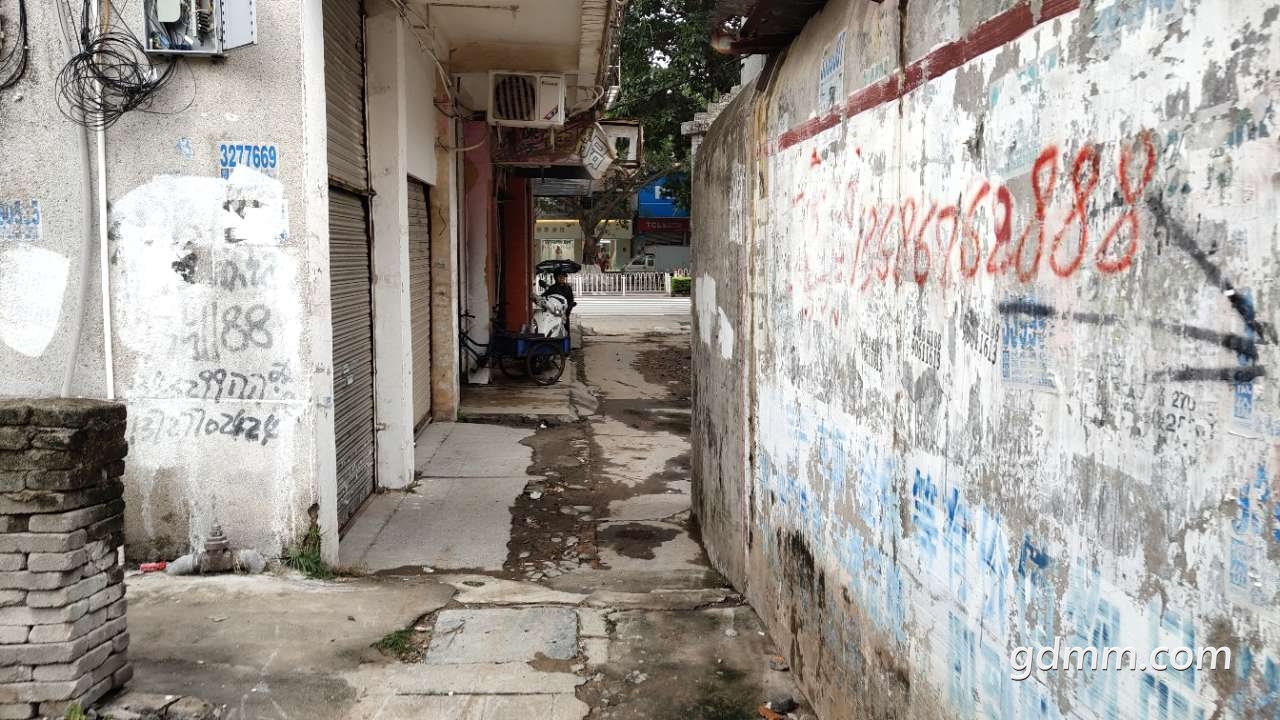 20190324_3281646_1553418657535.jpg