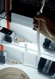 306654970.gif