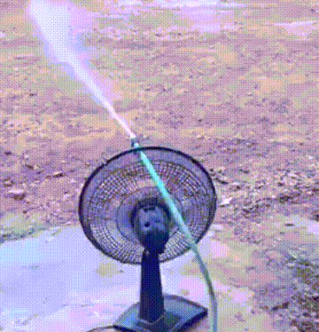 306687060.gif