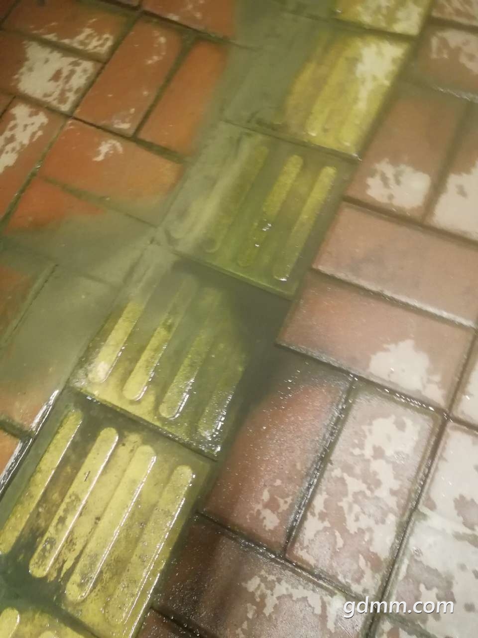 20190327_3259847_1553657148362.jpg