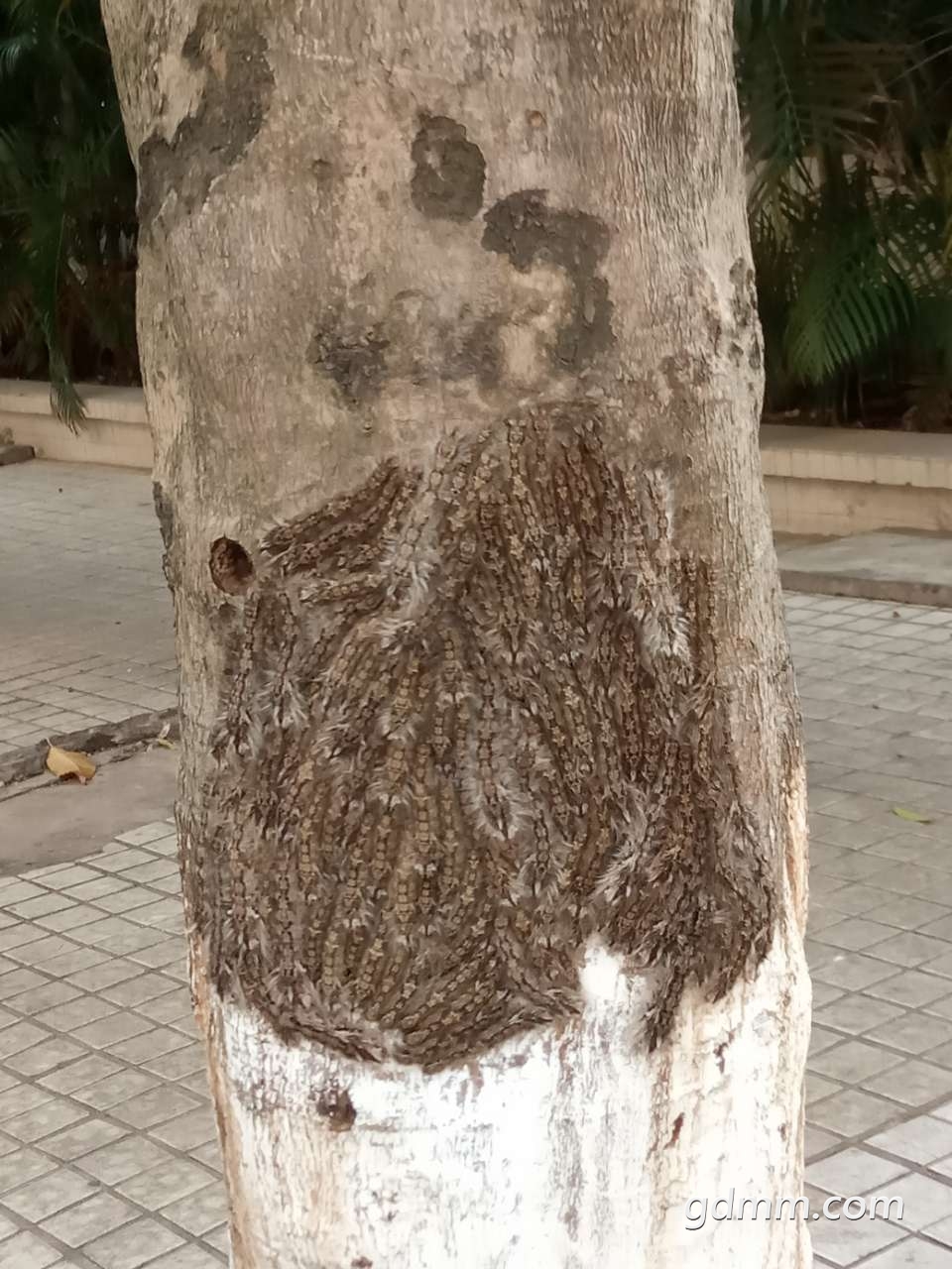 20190327_3277208_1553698585499.jpg