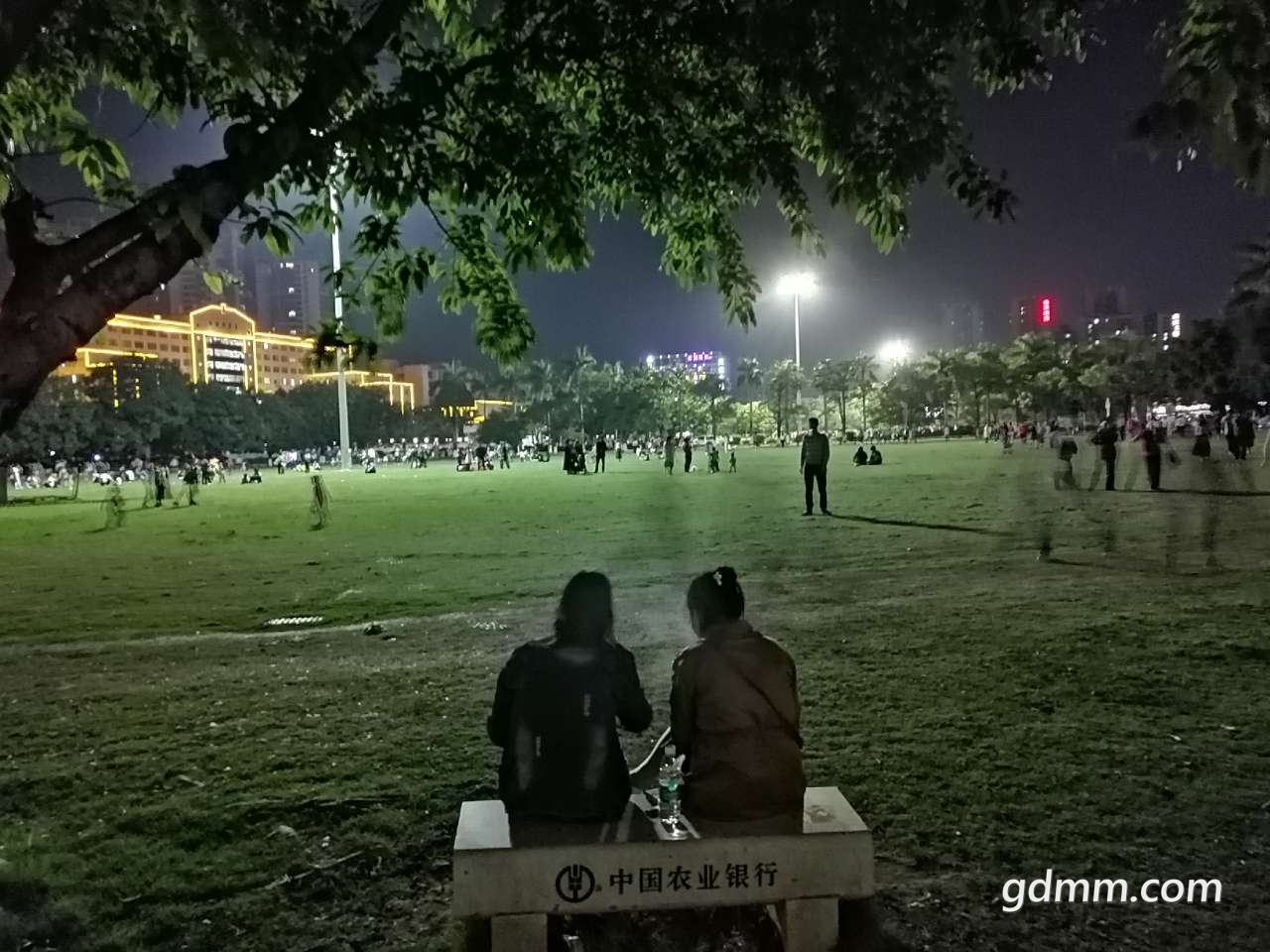 20190328_1590349_1553774868254.jpg
