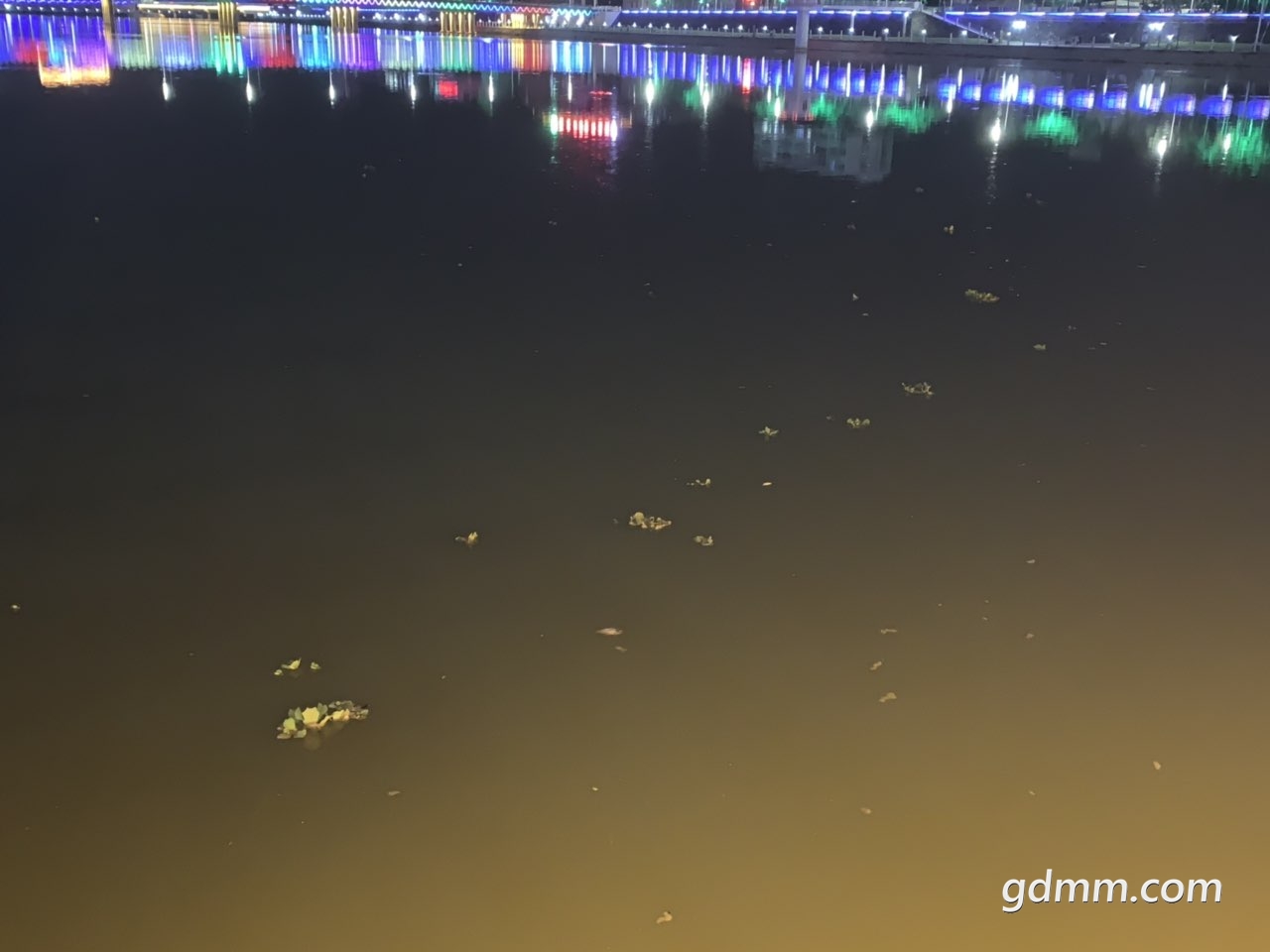 2019032832532691553775341709342.jpg