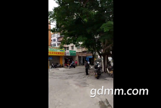 QQ��ͼ20190329201507.png