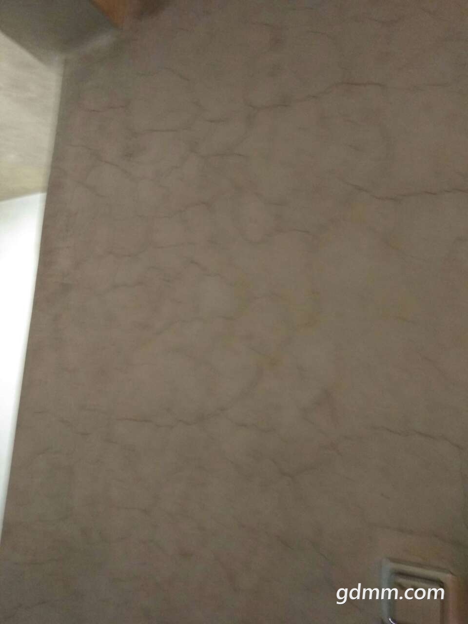 20190330_3245728_1553961451167.jpg