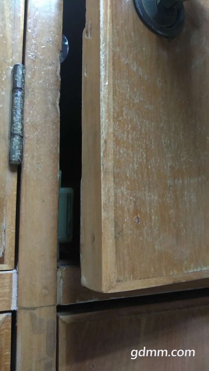 20190401_3245728_1554050897283.jpg