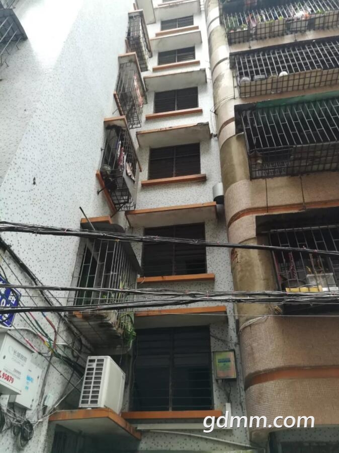 QQ��ͼ20190401094758.jpg