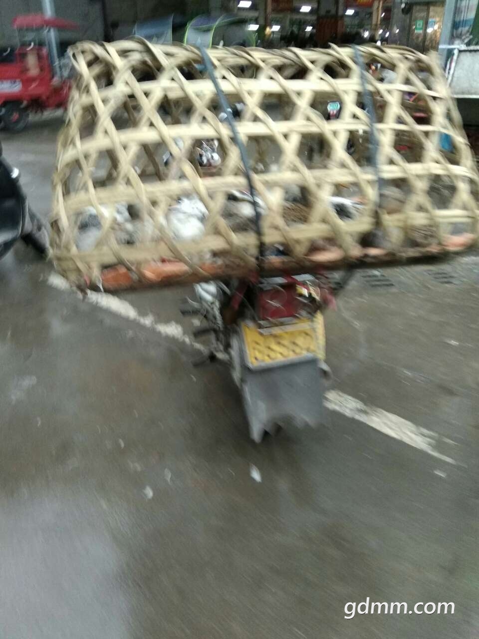 20190403_3245728_1554292765228.jpg