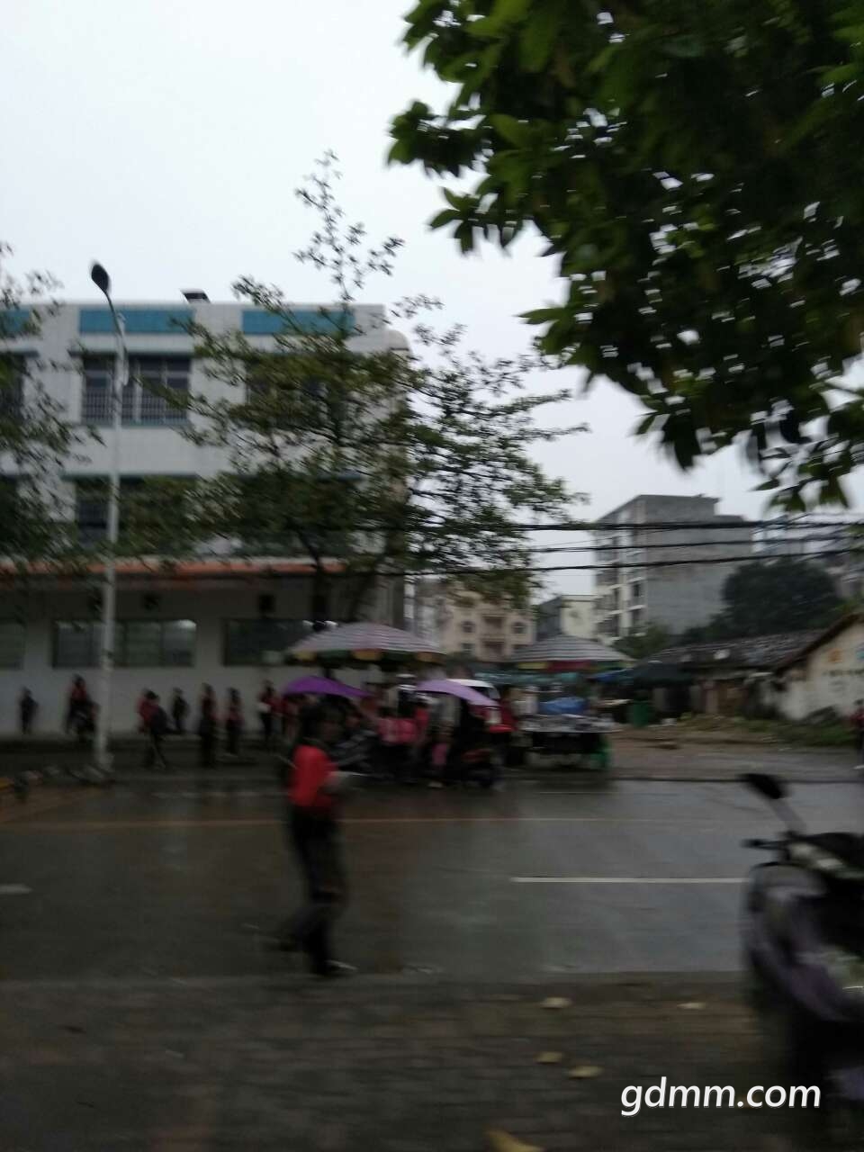 20190403_3245728_1554293604894.jpg