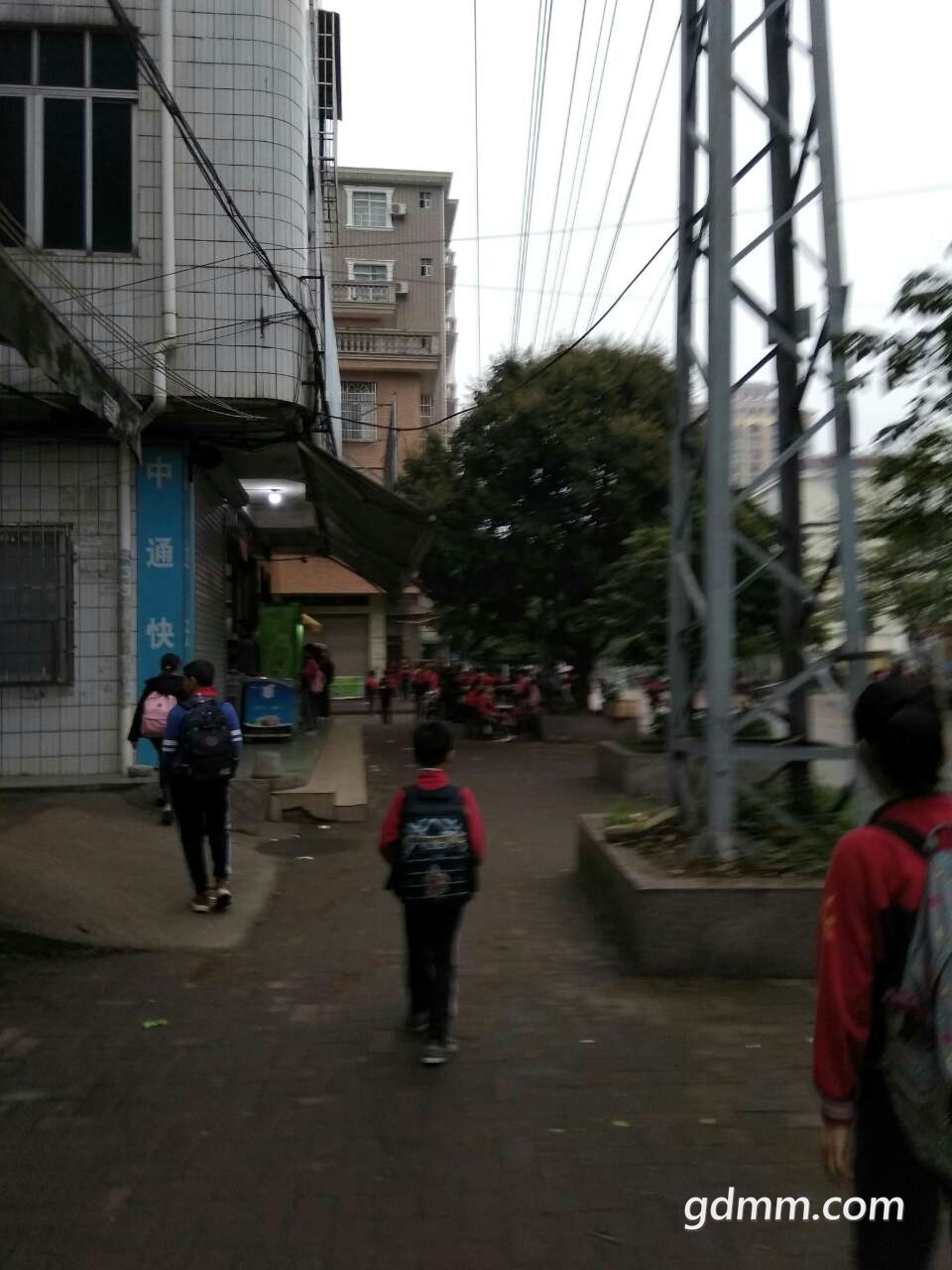 20190403_3245728_1554293605239.jpg