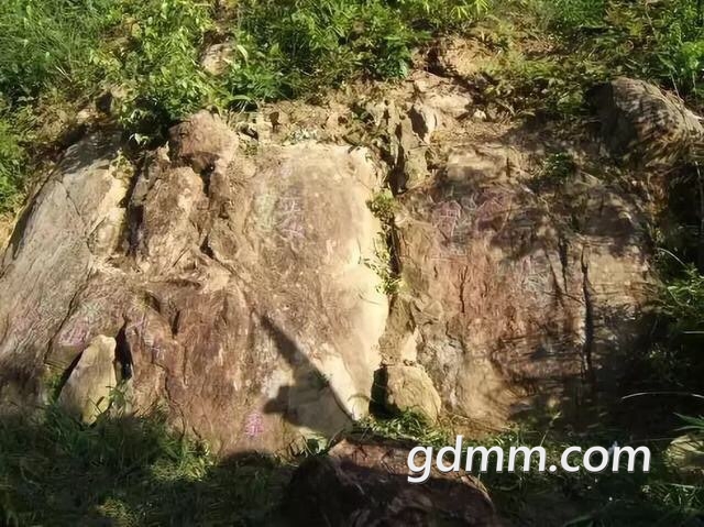 2019040410513631554359426574876.jpg