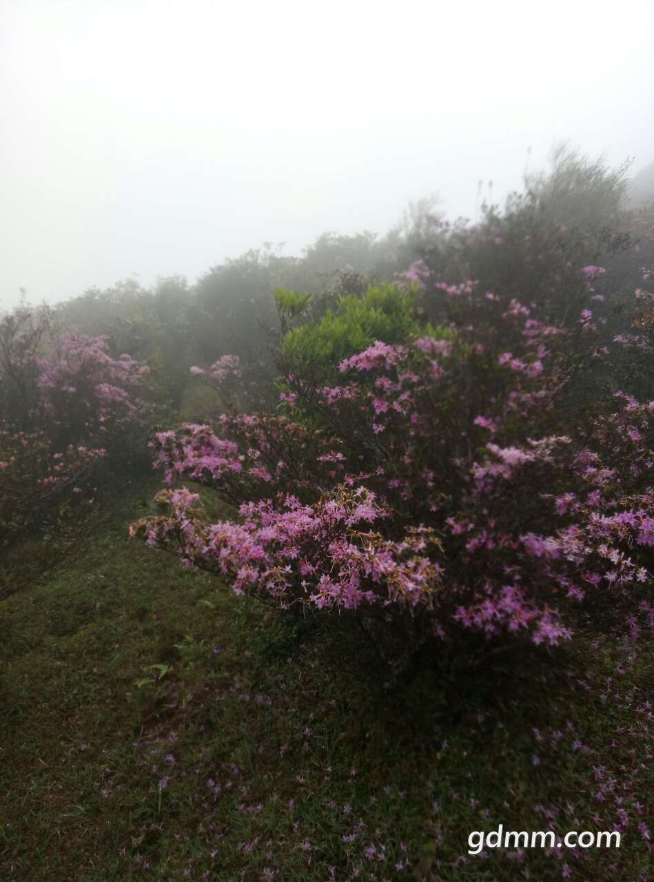 20190406_2979189_1554562110444.jpg