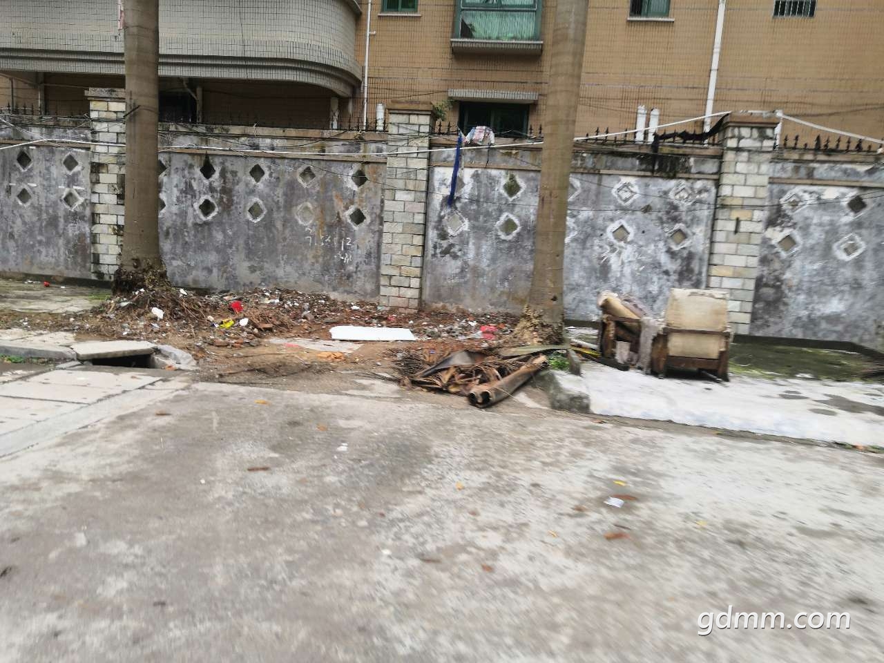 20190409_3282491_1554776139135.jpg