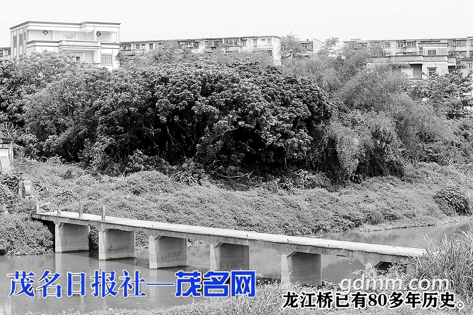 84380733915a7a043ecb20226a15b105 (1).jpg