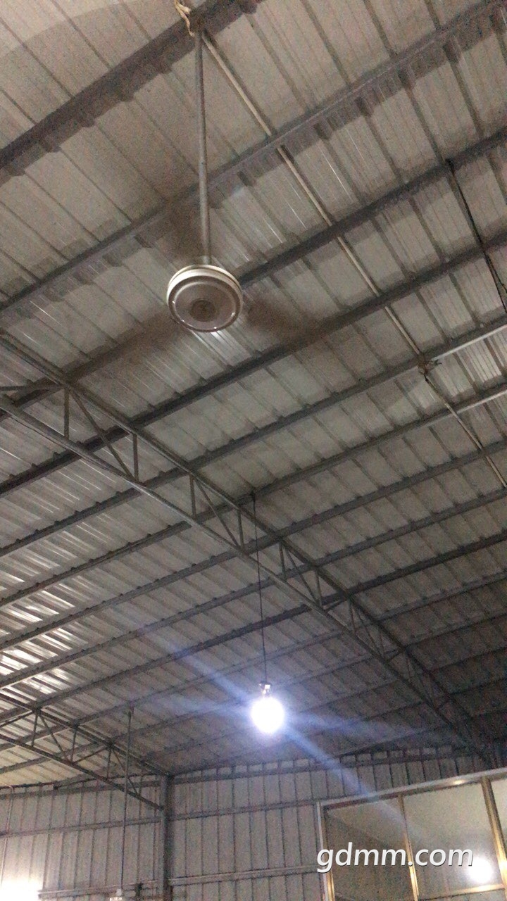 2019041032793141554894663053306.jpg