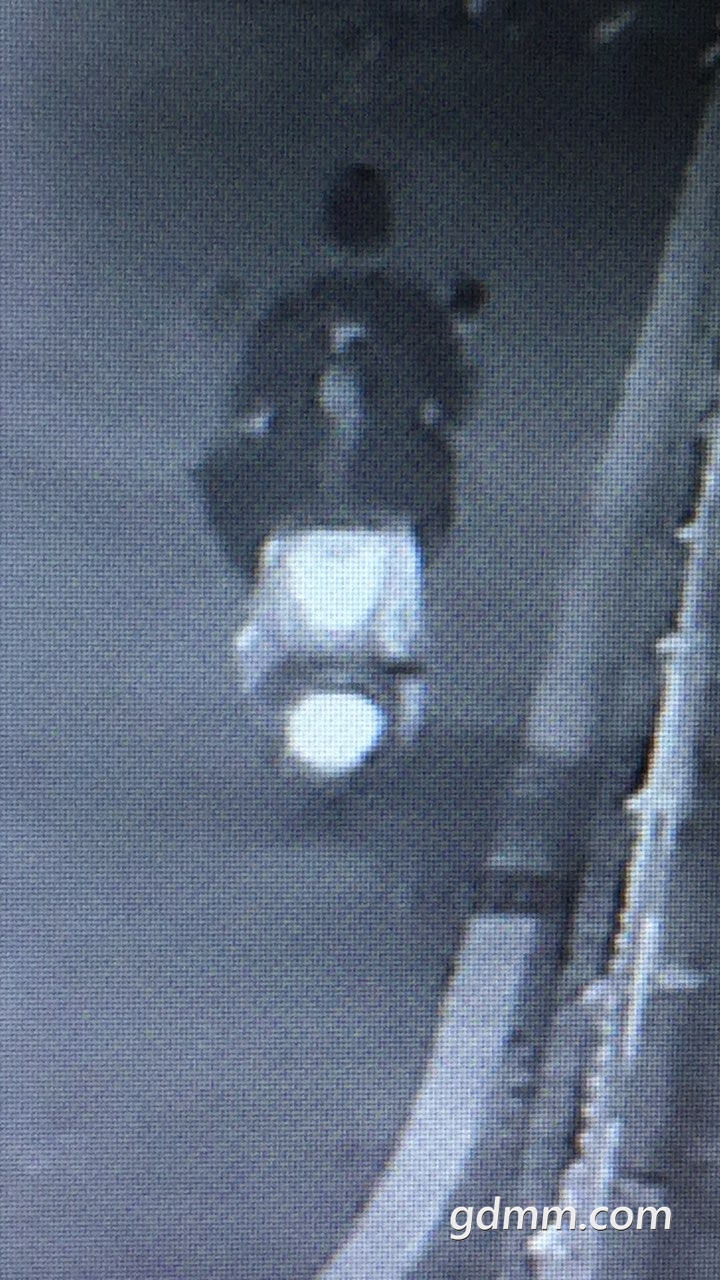 2019041332836631555139820008233.jpg