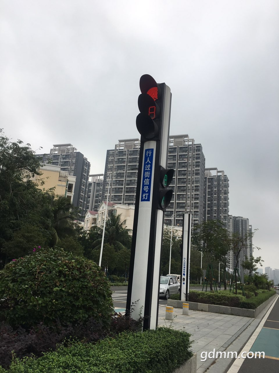 2019041332696311555153228372066.jpg
