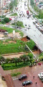 20190413_3247700_1555161762786.gif