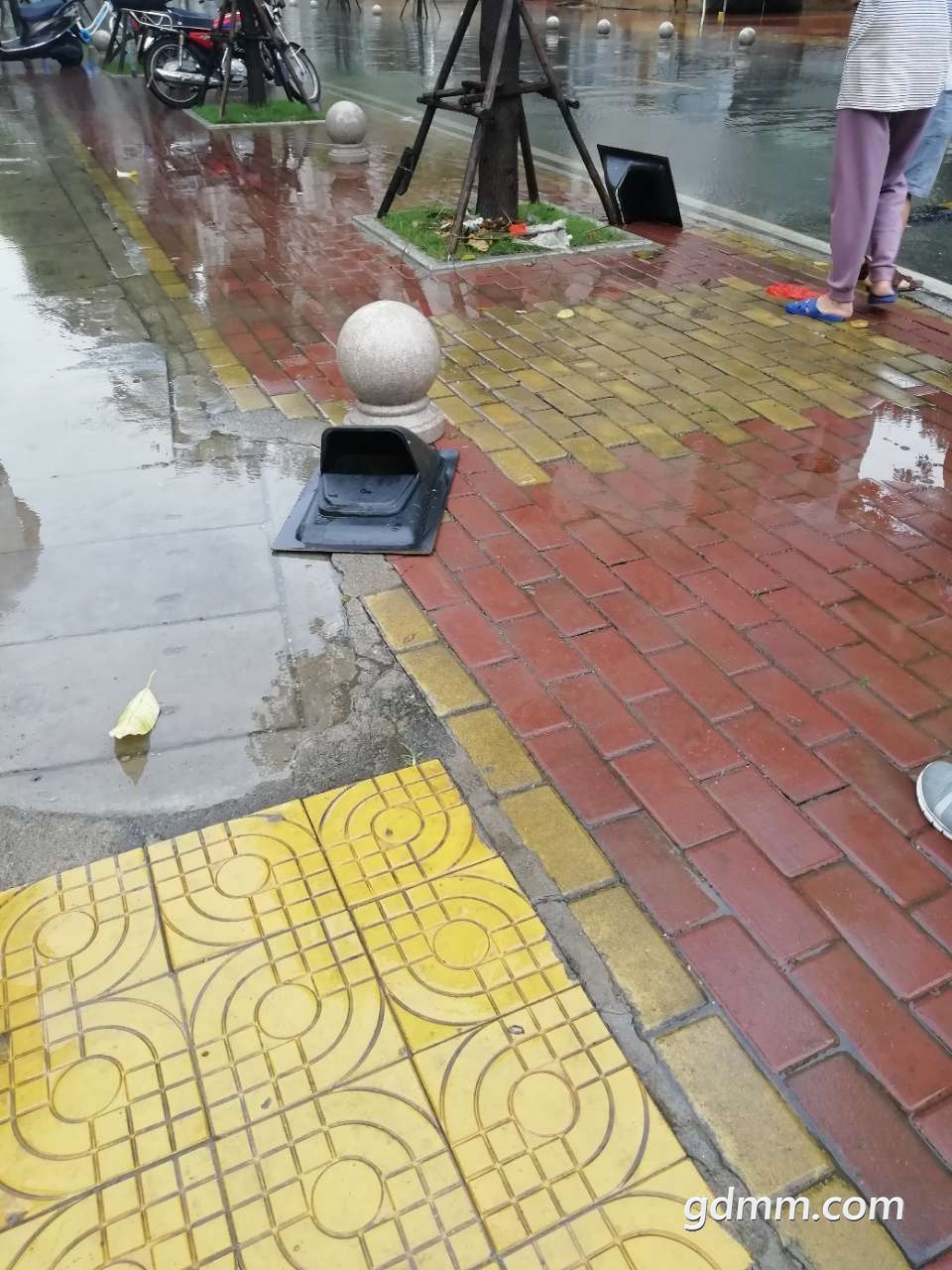 20190413_3258218_1555169257971.jpg