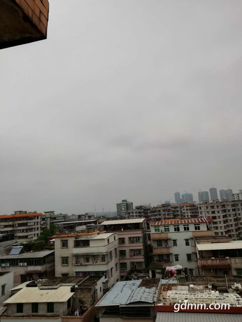 20190414_3277994_1555221769876.jpg