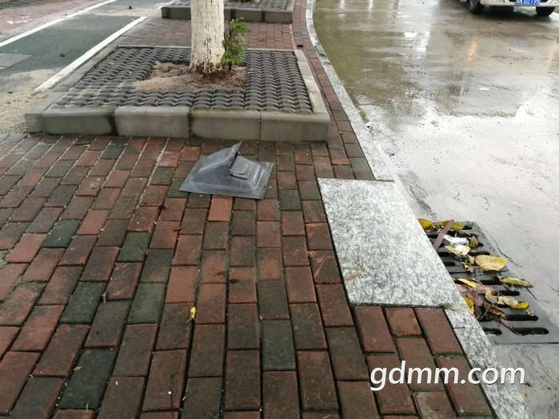 20190414_3276583_1555236399527.jpg