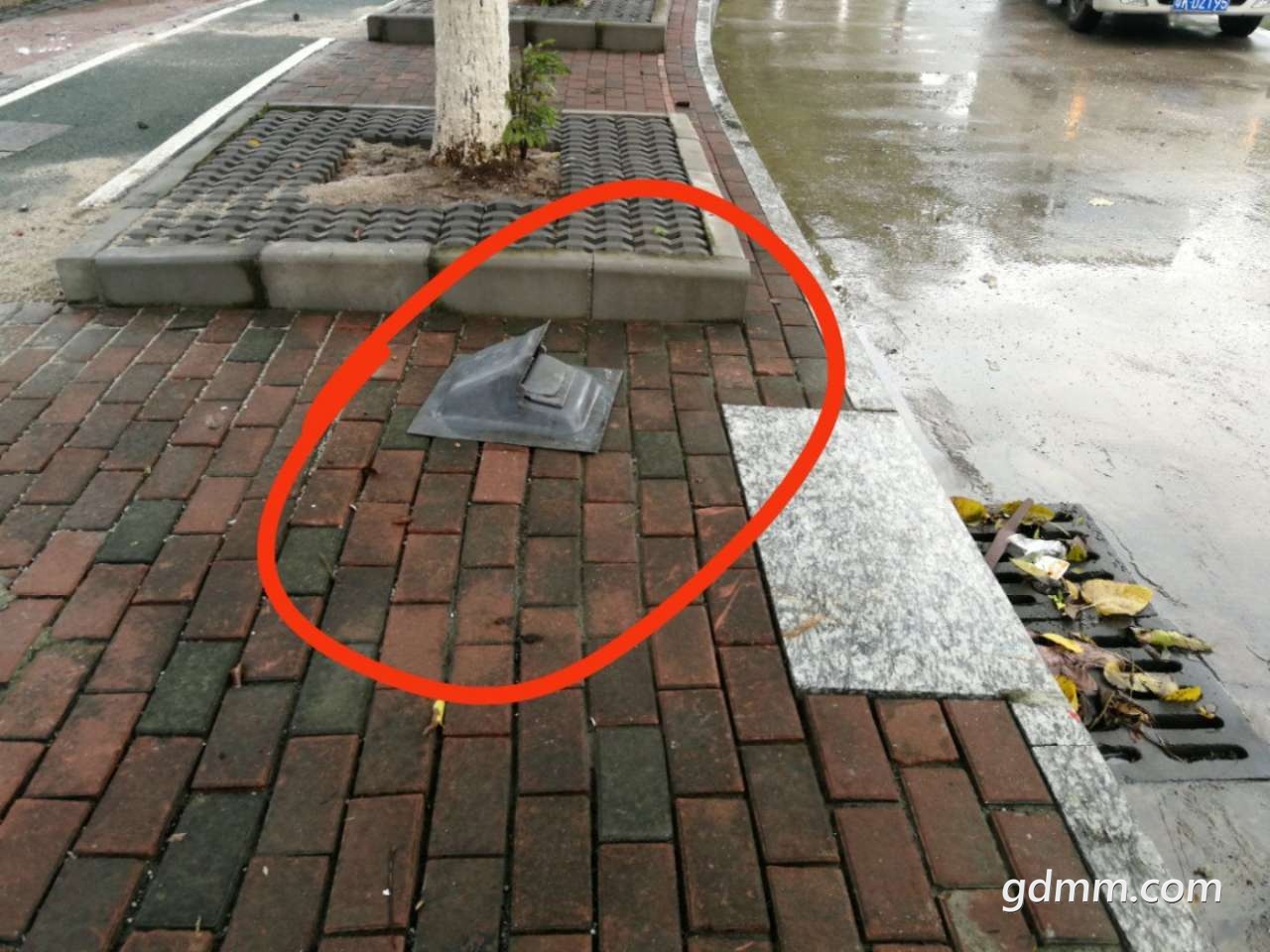 20190414_3276583_1555236399376.jpg