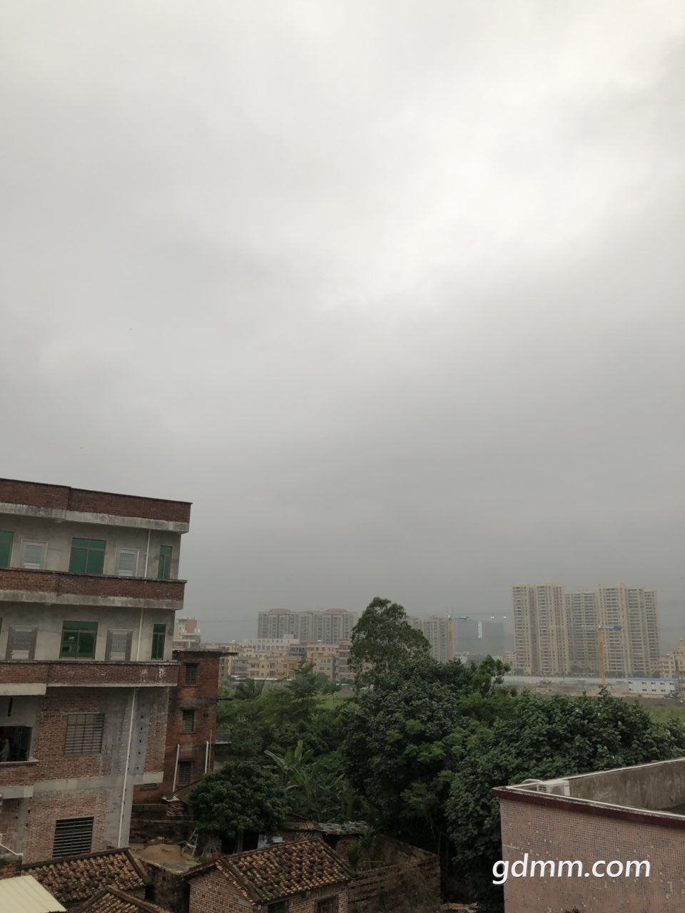 2019041431868211555238235068385.jpg