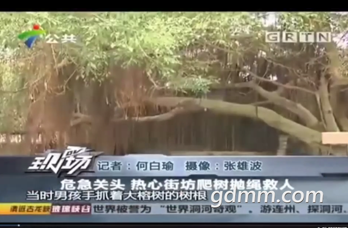 QQͼ20190415093021.png