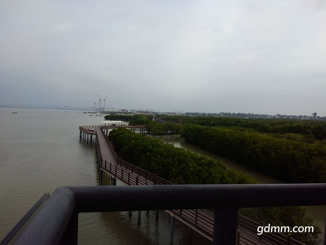 20190415_3283419_1555304513947.jpg