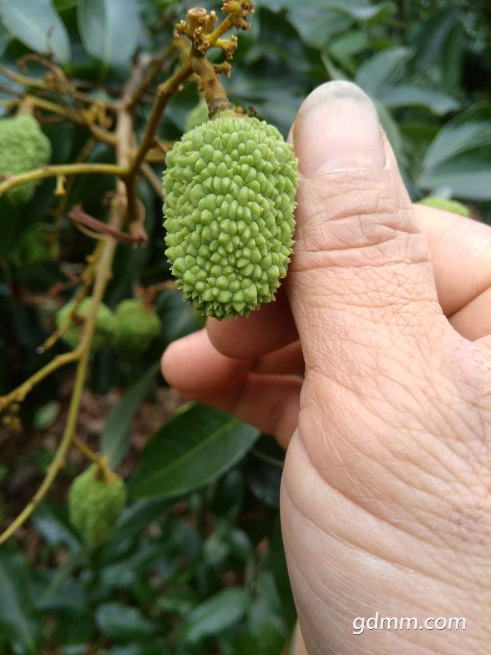 20190415_3281132_1555327102177.jpg