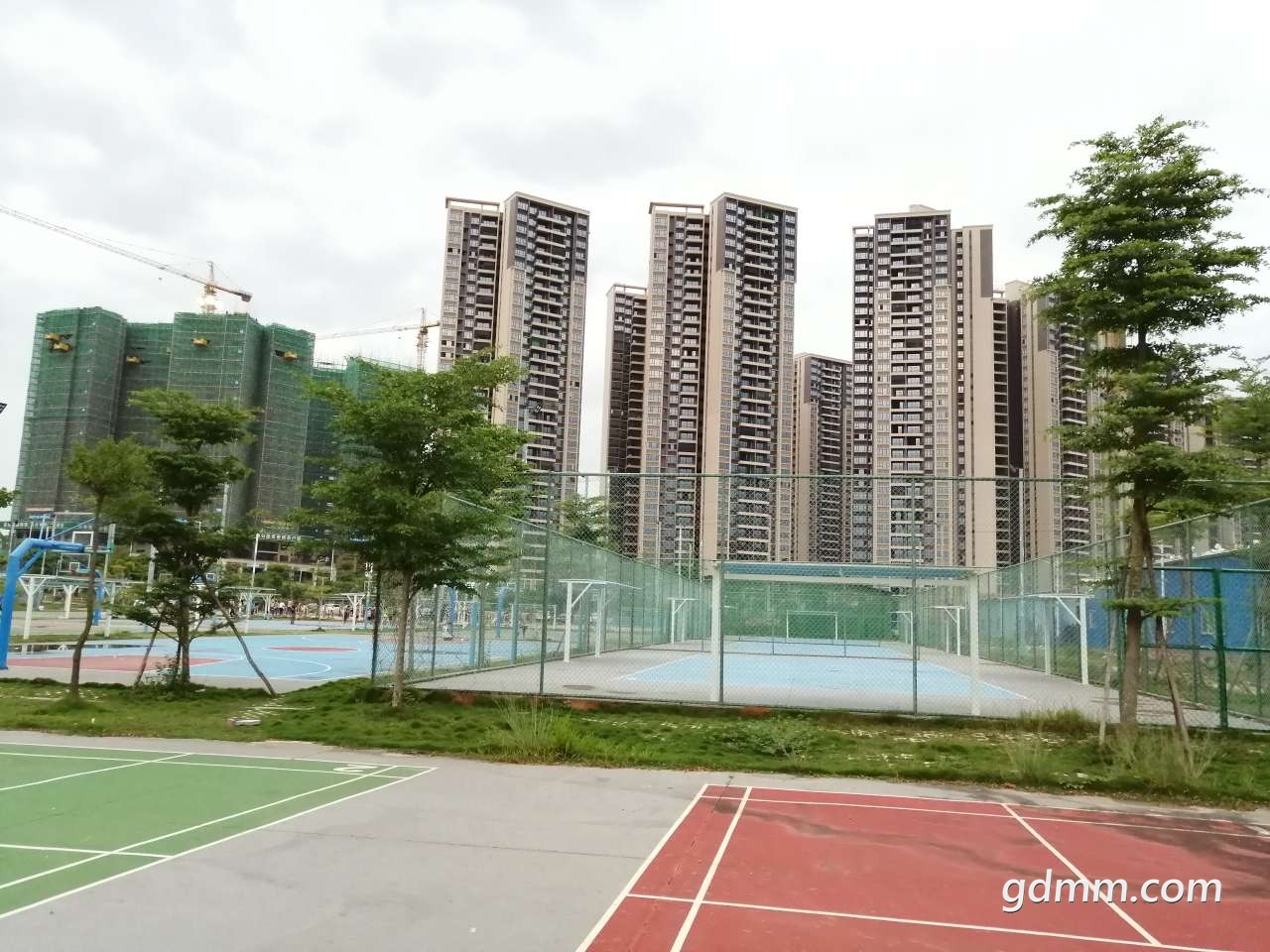 20190416_1590349_1555412345350.jpg