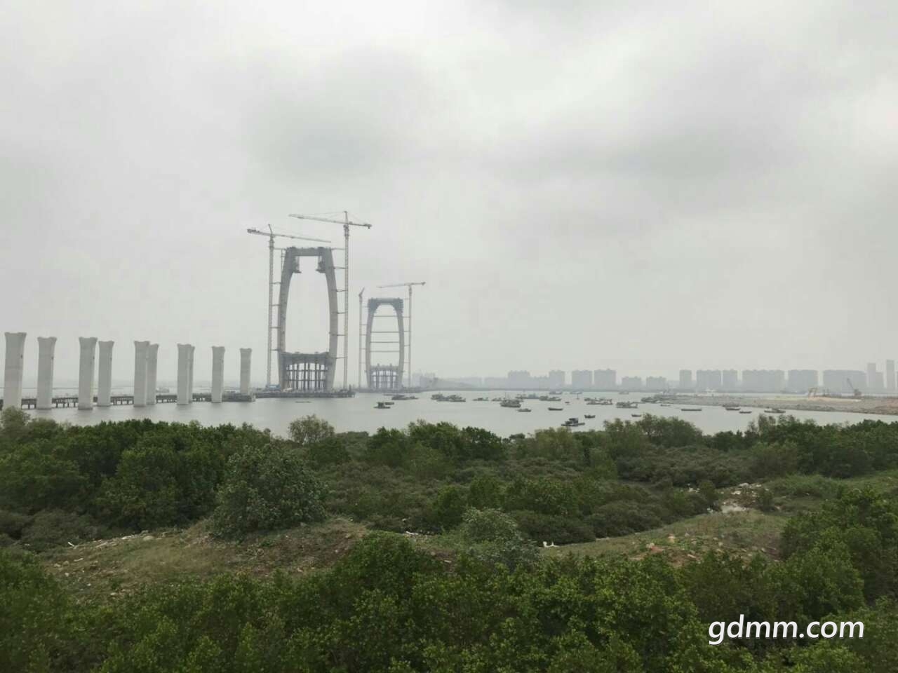 20190417_3269530_1555487749777.jpg
