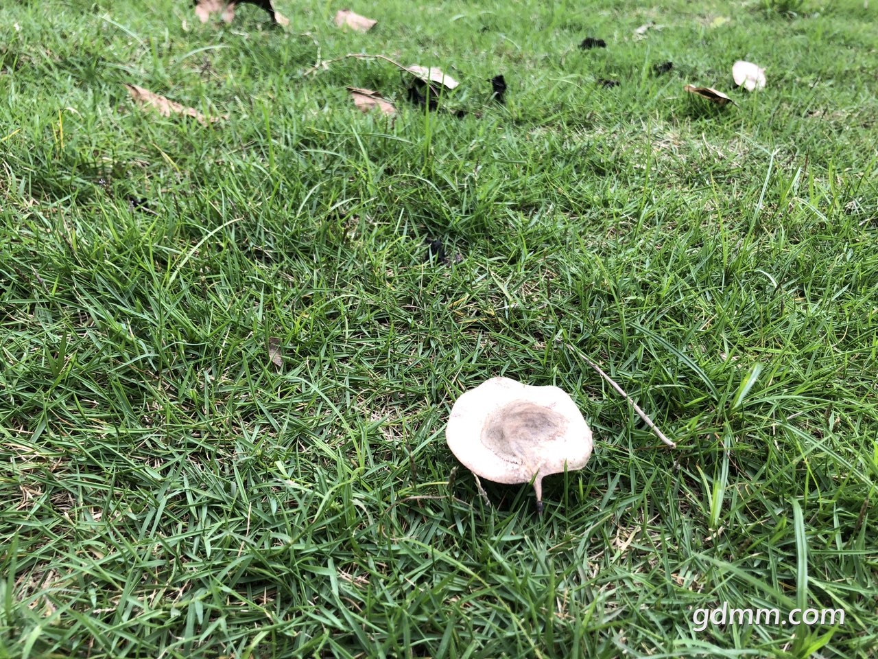 2019041732517351555489341942841.jpg