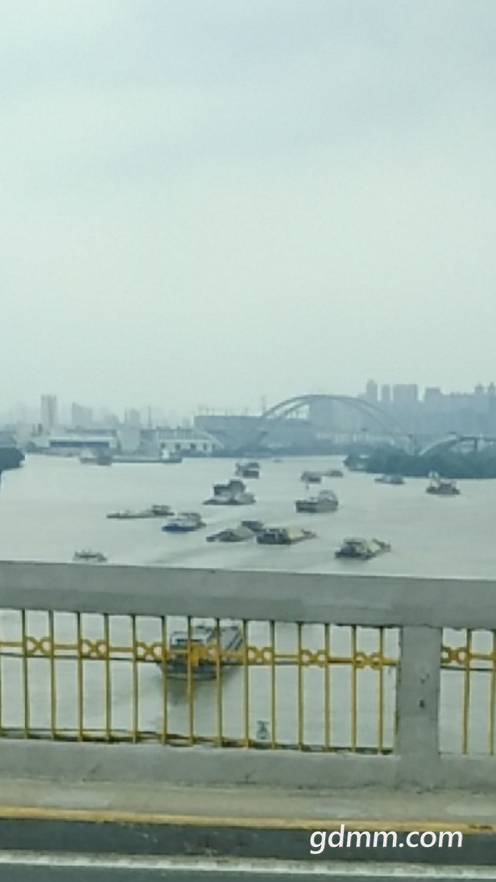 20190417_3245728_1555509622666.png