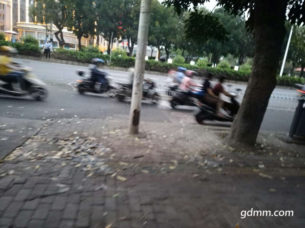 20190420_369613_1555772901419.jpg