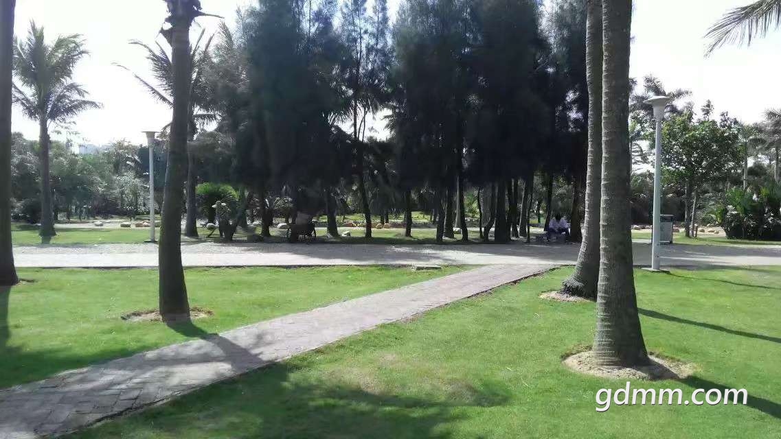 20190423_3280641_1556033826674.jpg