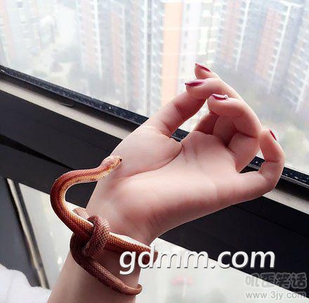 20160401041807729.jpg