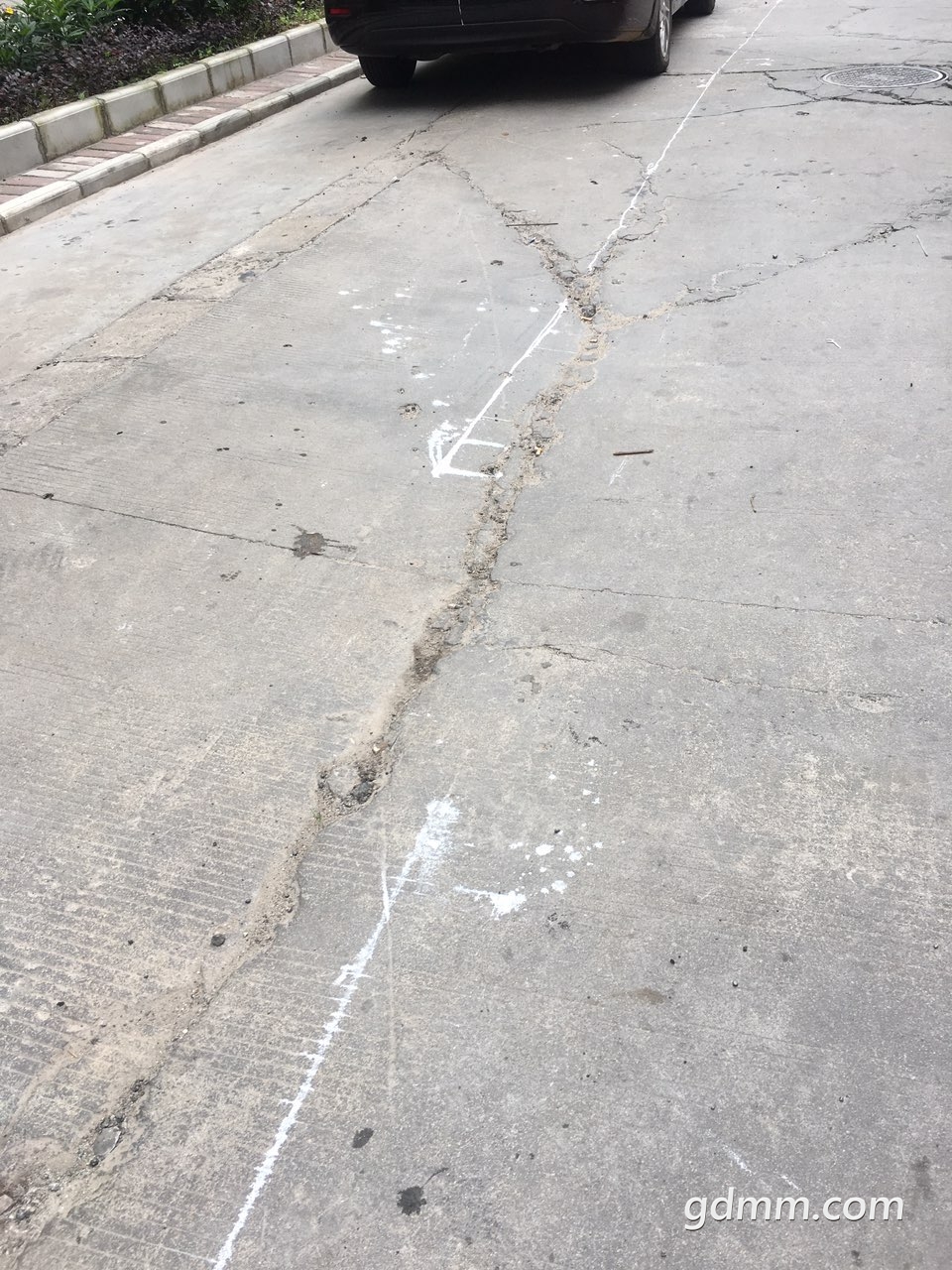 2019042412750731556099236483514.jpg