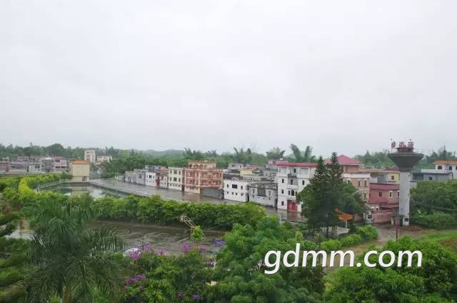 640AQZBOC1M.jpg