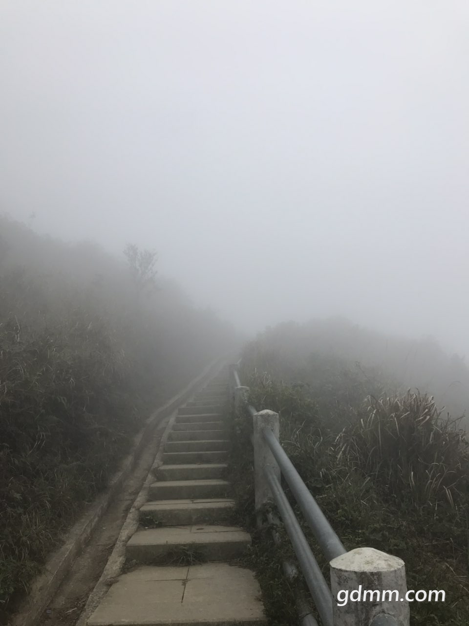2019042832806801556436683873516.jpg