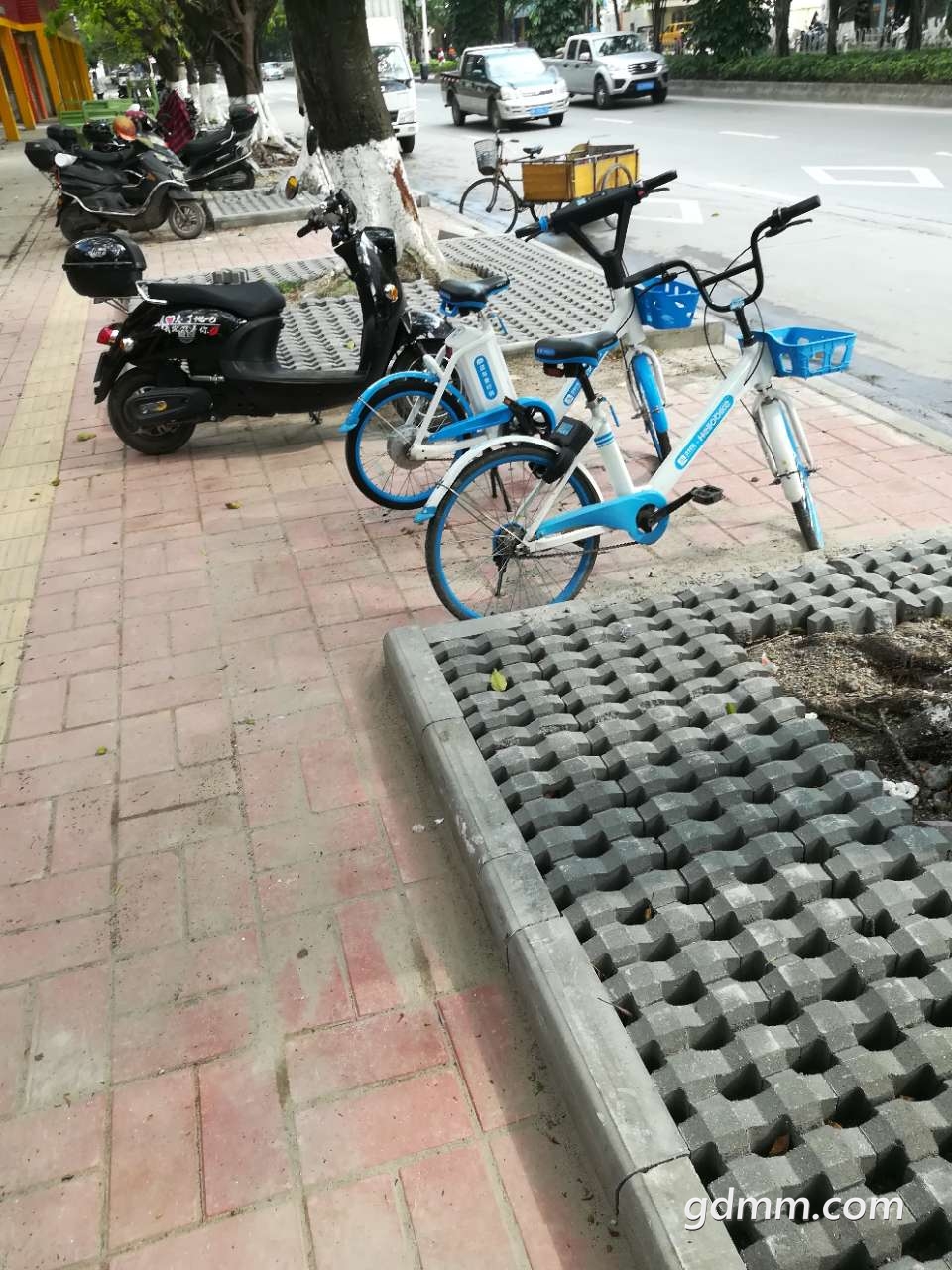 20190429_3271068_1556507678146.jpg